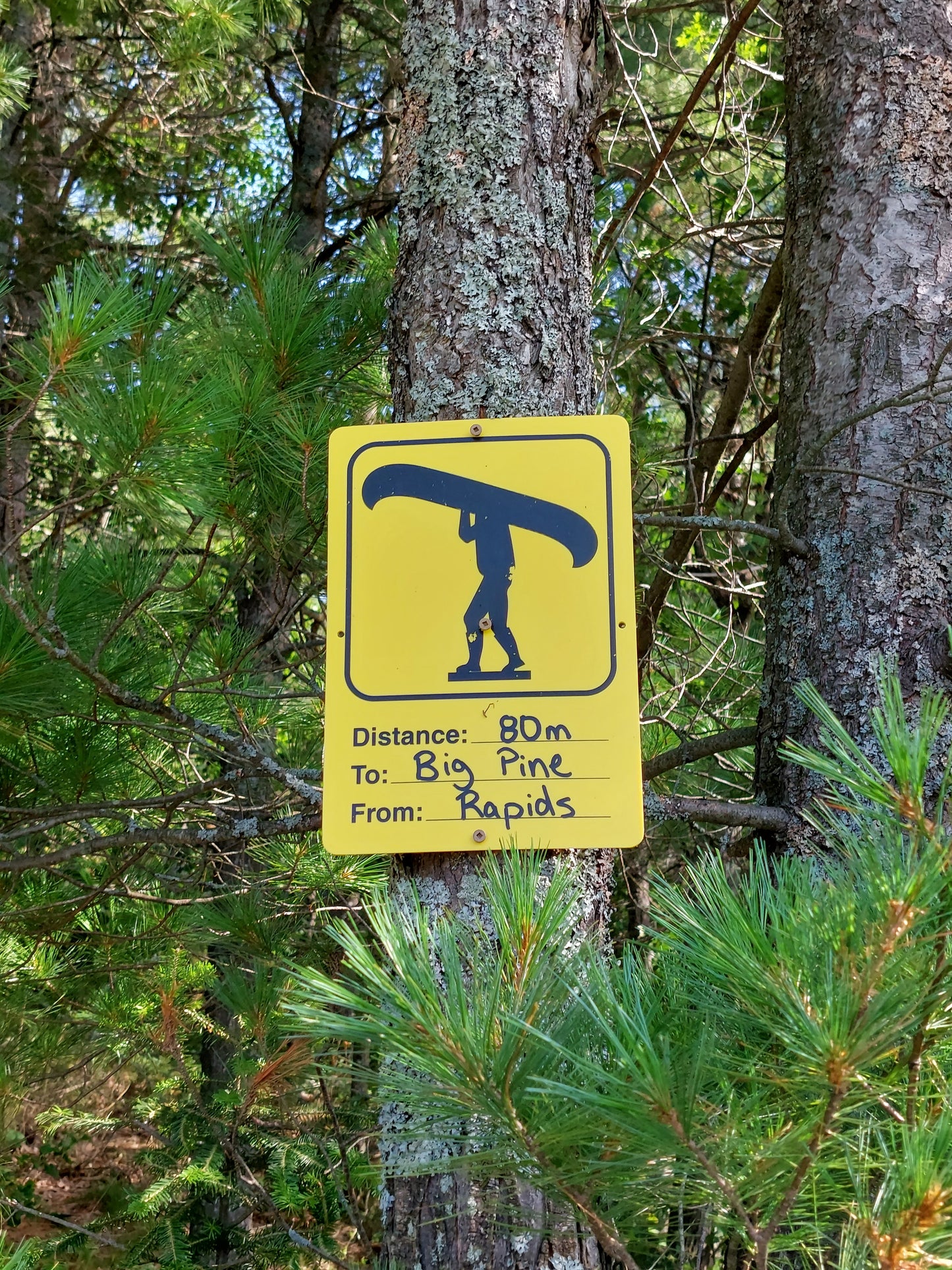 UPPER FRENCH RIVER CANOE TRIP