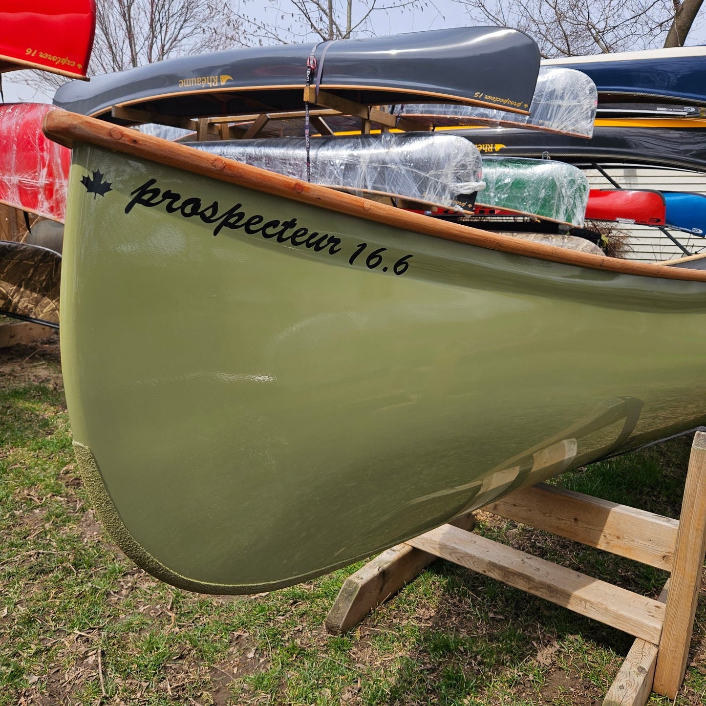Rheaume Prospector 16'6" Kevlar Canoe with Wood Trim