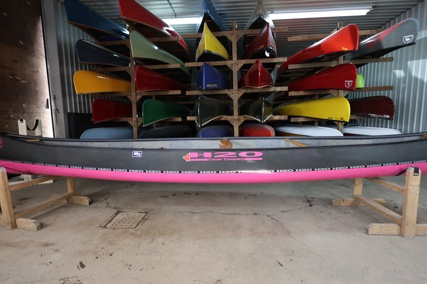 H20 Canadian 16-6 Pink