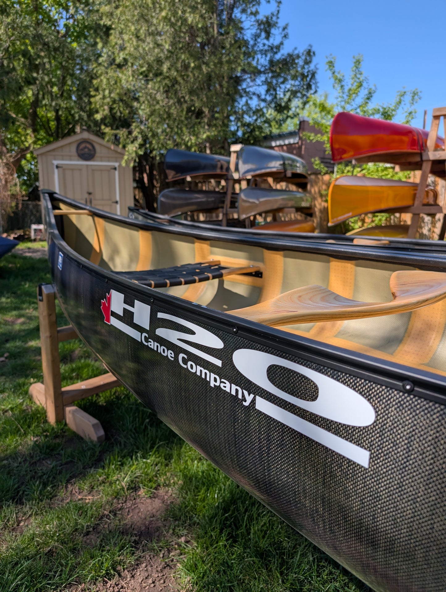 H2O PROSPECTOR 16'4 PRO LITE CARBON