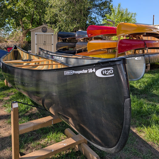 H2O PROSPECTOR 16'4 PRO LITE CARBON