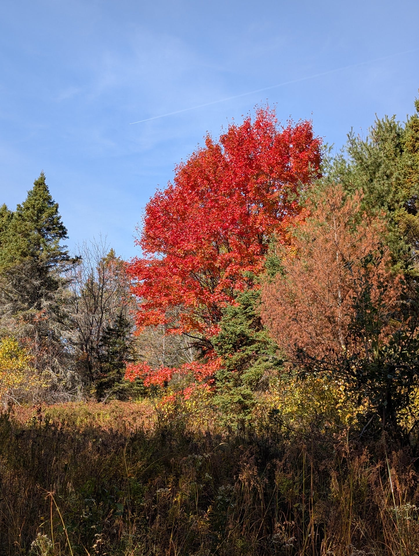 COLOURS OF THE CURRENT: FRENCH RIVER WEEKEND